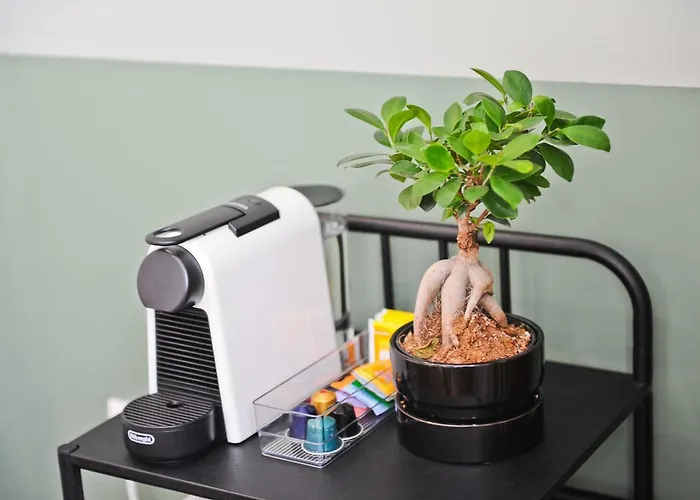 شقة Pop The Cork In By Misha's Place 5b